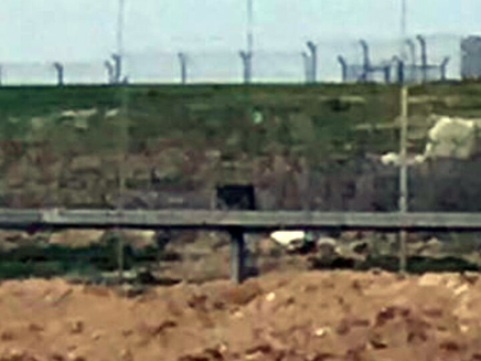 נטרול מטען בגבול עזה, ארכיון (צילום: דובר צה