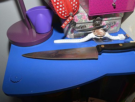 הסכין ששימשה לרצח  (צילום: Lincolnshire Police)