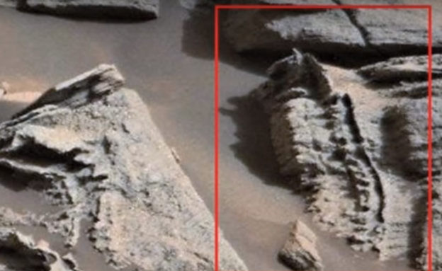 עצמות של חייזר על מאדים (צילום: יחסי ציבור)
