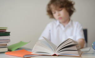 אילוסטרציה- ילד וספר (צילום: unguryanu, Shutterstock)