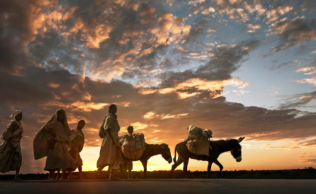 לפעמים אזני חמור זו משאלה חברתית אקטואלית