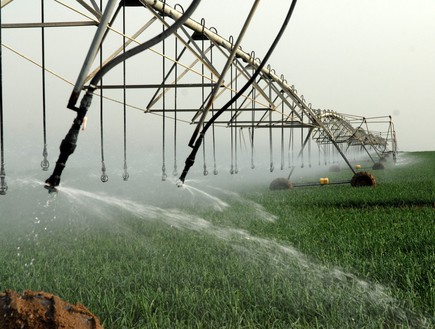 השקיית שדות בעמק בית שאן השקיית שדות בעמק בית שאן