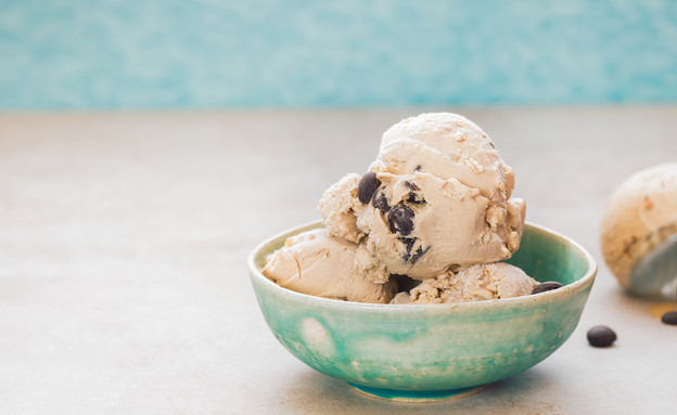 גלידה ורהיט - וניל עוגיות 1  (צילום: mythja, Shutterstock)