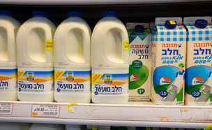 חלב (אילוסטרציה: Lerner Vadim, Shutterstock)