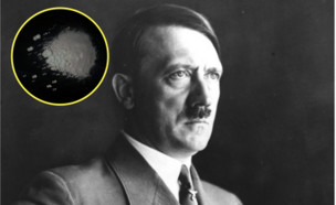 הקוק של היטלר (צילום: יחסי ציבור)