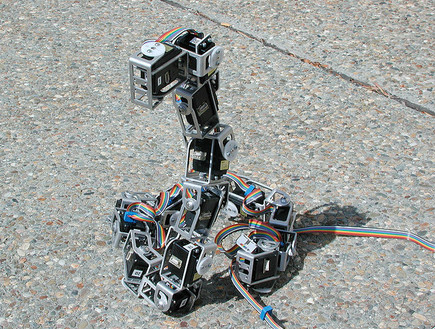 נחש רובוטי (צילום: יחסי ציבור)