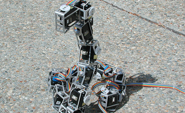 נחש רובוטי (צילום: יחסי ציבור)