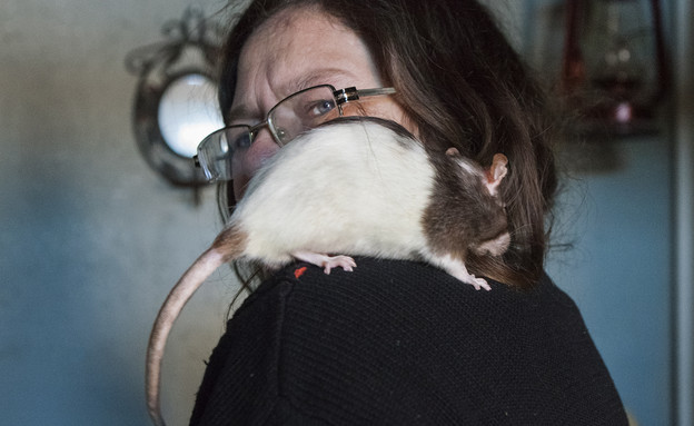 צחוק של עכברוש. מהווי (בעלי) החיים בקהילה