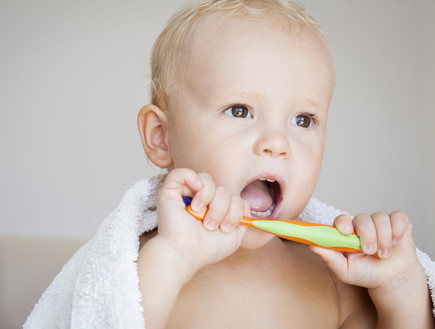 צחצוח שיניים (צילום: MiMaLeFi, Shutterstock)