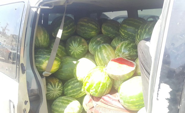 מג"ב נלחמים בגנבי האבטיחים