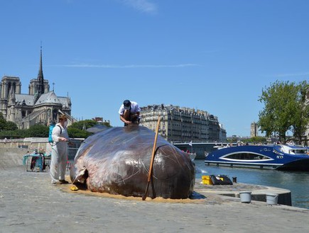 לוויתן בפריז (צילום: יחסי ציבור)
