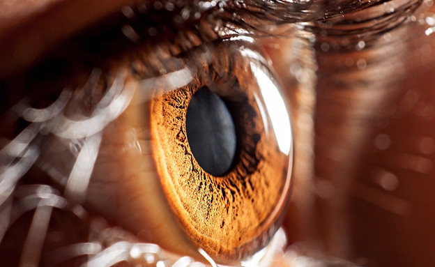 עין (צילום: air009, Shutterstock)