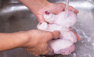 ידיים רוחצות עוף (צילום: MAHATHIR MOHD YASIN, Shutterstock)