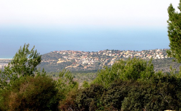 שכונת דניה (צילום: חנאי, ויקיפדיה)