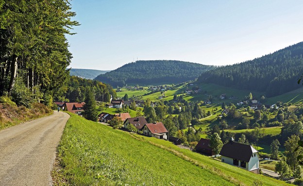 Germany(black forest) (צילום: hpgruesen, shutterstock)