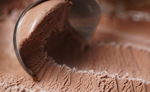 גלידת שוקולד (צילום: GooDween123, Shutterstock)
