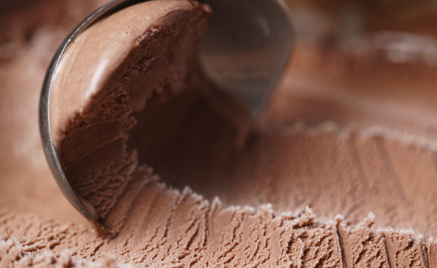 גלידת שוקולד (צילום: GooDween123, Shutterstock)