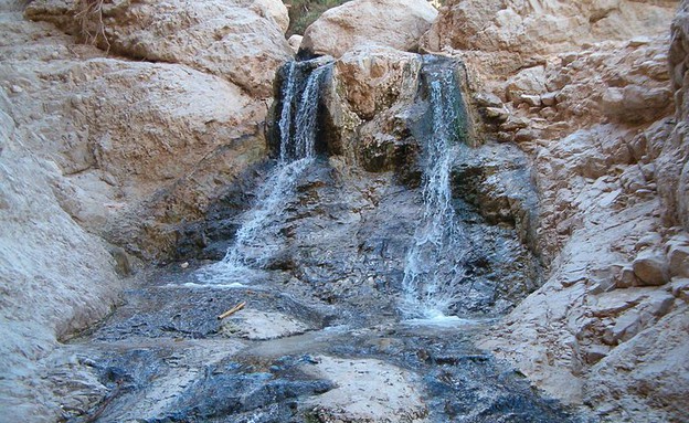 עין בוקק (צילום: יחסי ציבור, ויקיפדיה)