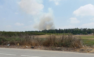 השריפה באביאל, היום