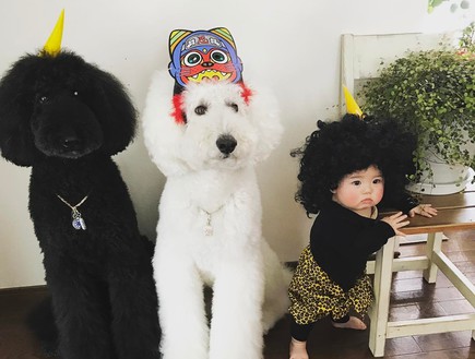 מיימי ילדה וכלבים (צילום: מתוך instagram)