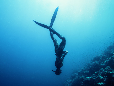 צלילה חופשית (צילום: I T A L O, Shutterstock)
