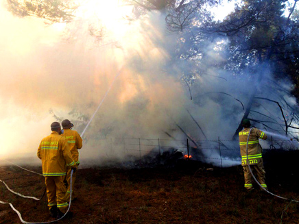 שריפה היערות מנשה (צילום: דוברות הכבאות)