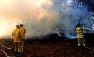שריפה היערות מנשה (צילום: דוברות הכבאות)