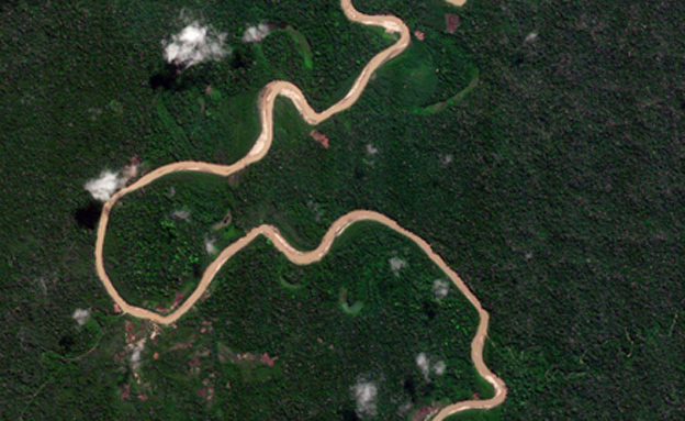 יערות גשם בפרו (צילום: משרד המדע)
