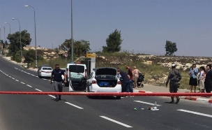 תאונת פגע וברח בירושלים (צילום: חדשות 2)