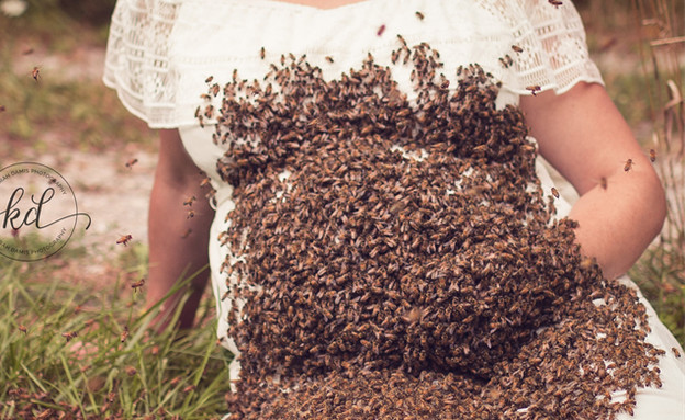 דבורים על בטן הריון (צילום:  Photo by Flash90)