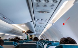 משולש במטוס (צילום: leungchopan, Shutterstock)