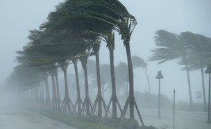 הוריקן אירמה מכה בפורט לודרדייל בפלורידה  (צילום: Chip Somodevilla, GettyImages IL)