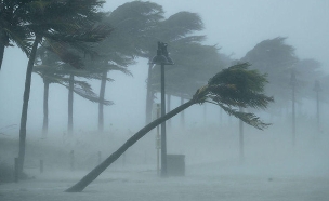 הוריקן אירמה פלורידה (צילום: CNN)