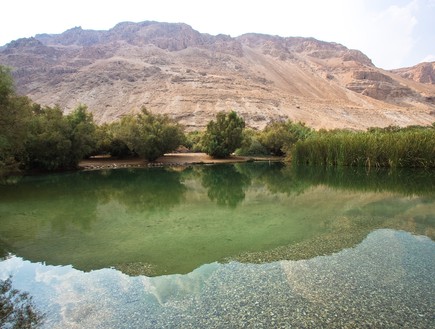 עינות צוקים (צילום: יחסי ציבור)