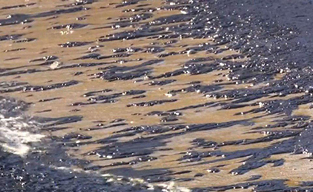 חוף פלאיו חפירו, היום (צילום: sky news)