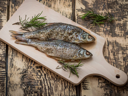 דגים אילוסטרציה (צילום: Shutterstock)