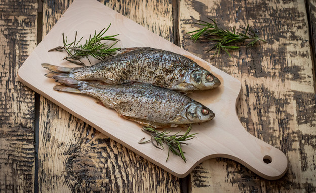 דגים אילוסטרציה (צילום: Shutterstock)