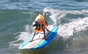 תחרות גלישה לכלבים בקליפורניה (צילום: חדשות 2)