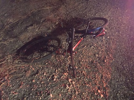 האופניים היו מוטלותבשדה הסמוך לכביש (צילום: דוברות מד