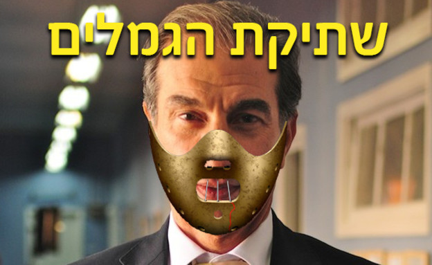 שתיקת הגמלים (צילום: יחצ, tvbee)