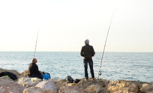 ללא שינוי של ממש, ארכיון (צילום: תם כינר)