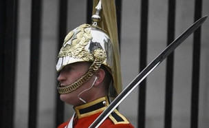חייל משמר המלכה (צילום: צילום מסך מתוך youtube)