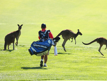 תחרות גולף בפרת' אוסטרליה (צילום: GettyImages - Paul Kane)