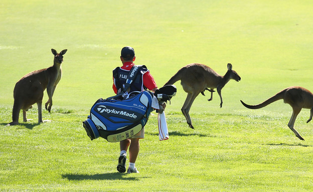 תחרות גולף בפרת' אוסטרליה (צילום: GettyImages - Paul Kane)