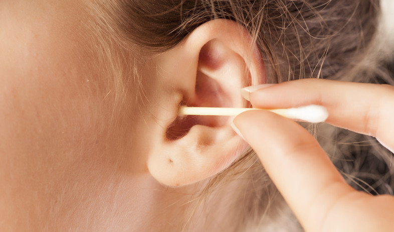 קיסם אוזניים (צילום: Vladimir Gjorgiev, Shutterstock)