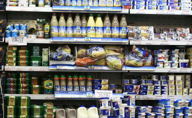 מוצרי חלב (צילום: יחסי ציבור)