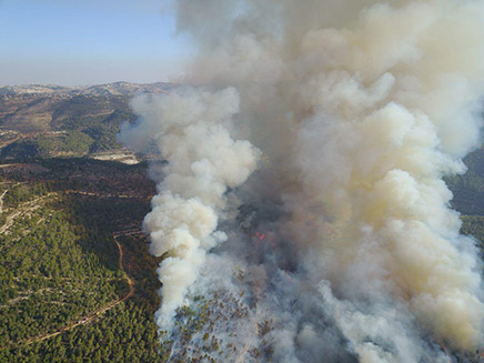 שריפת החורש ביער סטף (צילום: דוברות משטרת ישראל)