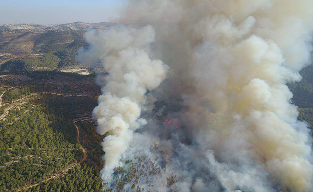 שריפת החורש ביער סטף (צילום: דוברות משטרת ישראל)
