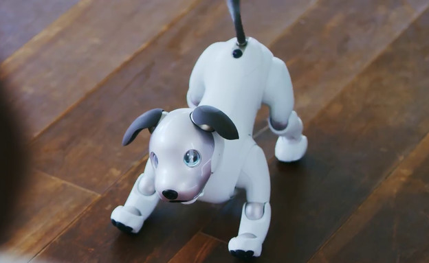 הכלב-רובוט החדש של סוני (תמונת AVI: סוני, יוטיוב)