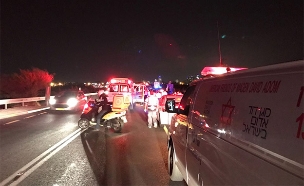 זירת התאונה בכביש 42 (צילום: דוברות מד"א)